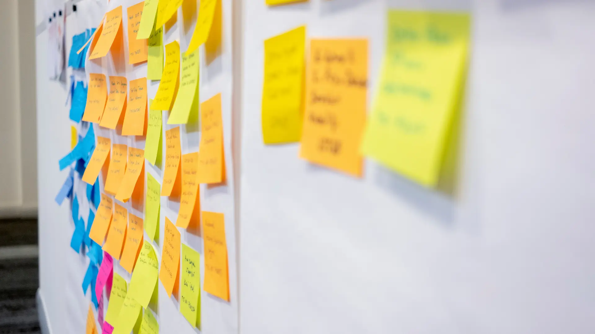 実績・導入事例